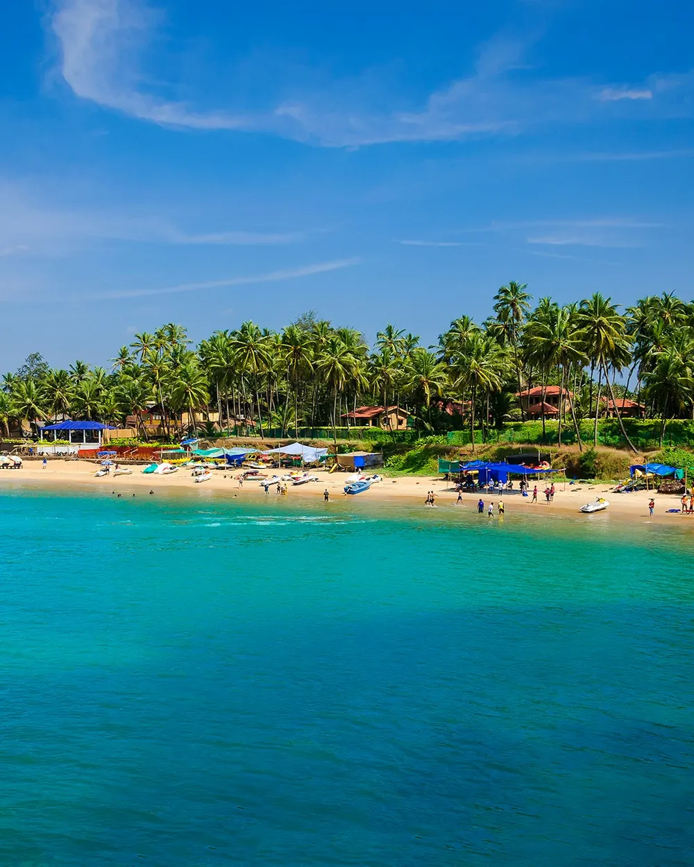A turquoise beach lined with palms and soft white sand in Goa