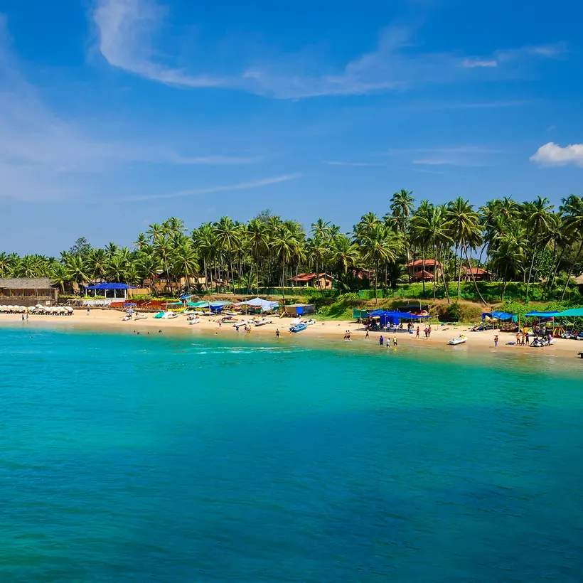 A palm-lined turquoise beach in Goa